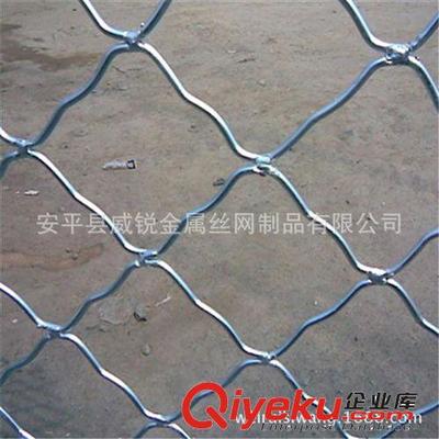 廠家直銷東北地區.圈玉米美格網.圈棒子美格網,美格網價格-安平縣威銳金屬絲網制品提供廠家直銷東北地區.圈玉米美格網.圈棒子美格網,美格網價格的相關介紹、產品、服務、圖片、價格安平縣威銳金屬絲網制品、鐵絲網;護欄網;隔離柵;防護網;牛欄網;荷蘭網;軋花網;草原網;勾花網;刀片刺繩網;防風抑塵網;沖孔網;建筑網片;美格網;鋼板網;鐵藝護欄網;鋼格板;不銹鋼網;石籠網;礦篩網